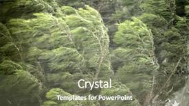  Presentation with pine trees - Cool new presentation with storm wind - image of pine trees backdrop and a violet colored foreground