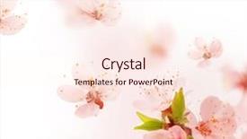  Presentation with spring - PPT layouts consisting of wind blowing trees - spring breeze background and a cream colored foreground