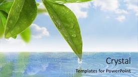  Presentation with water leaf - PPT layouts consisting of business man with a monitor on his head cloud system and pointers on the screen on a dark background background and a dark gray colored foreground