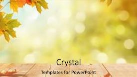  Presentation with autumn wood - Cool new PPT layouts with leaf wood - autumn background backdrop and a blonde colored foreground