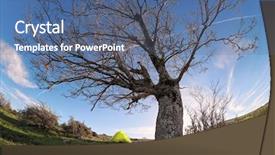  Presentation with white blue vapor trail - Slide set enhanced with curve white vapour trail background and a ocean colored foreground