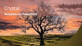  Presentation with oak tree - Presentation design consisting of leafless-oak-tree-on-grassy background and a coral colored foreground