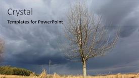  Presentation with spring tree - PPT layouts with leafless-tree-on-spring-meadow background and a light blue colored foreground