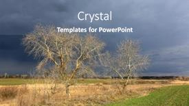  Presentation with trees - Slide set with leafless-trees-in-spring-steppe background and a seafoam green colored foreground