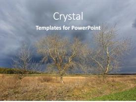 Leafless Trees In Spring Time PPT template 52 | CrystalGraphics