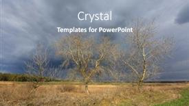  Presentation with thunderstorm - Beautiful PPT theme featuring leafless-trees-in-spring-time backdrop and a gray colored foreground