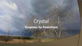  Presentation with trees - Audience pleasing slide set consisting of leafless-trees-in-spring-time backdrop and a gray colored foreground