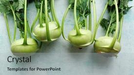 Presentation with bunch - Beautiful slide deck featuring leafy - fresh kohlrabi with green leaves backdrop and a light gray colored foreground