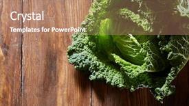  Presentation with cabbage - PPT layouts consisting of leafy - green savoy cabbage background and a coral colored foreground