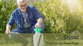 Presentation with sprayer - Audience pleasing PPT theme consisting of leafy - mature man using garden sprayer backdrop and a gold colored foreground
