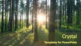  Presentation with woods - Colorful slide set enhanced with leafy - sunset in the woods backdrop and a tawny brown colored foreground