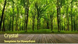  Presentation with wood - Presentation theme having leafy - wood textured backgrounds background and a tawny brown colored foreground