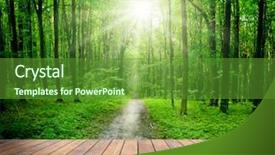  Presentation with interior - Slide deck having leafy - wood textured backgrounds background and a tawny brown colored foreground