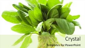  Presentation with fresh ginger root on white - Audience pleasing presentation theme consisting of leafy - bunch of fresh spinach backdrop and a yellow colored foreground