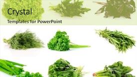  Presentation with culinary - Slide set enhanced with herbal plants - collage of culinary greens isolated background and a yellow colored foreground