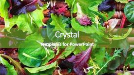  Presentation with lettuce - Beautiful slide deck featuring leafy - organic spring mix lettuce backdrop and a seafoam green colored foreground