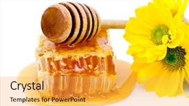  Presentation with yellow wood - Presentation theme having leaked parts - wood dipper on honeycomb background and a yellow colored foreground