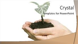  Presentation with holding hands - Colorful PPT layouts enhanced with learn grow - hands holding sapling in soil backdrop and a  colored foreground