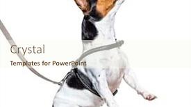  Presentation with russell - Audience pleasing PPT layouts consisting of learning-process-with-a-jack backdrop and a cream colored foreground