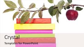  Presentation with public health stack of books - PPT theme enhanced with learning tree - stack of colorful books background and a lemonade colored foreground