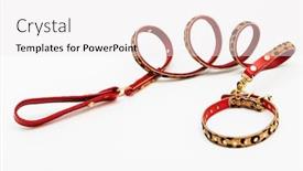  Presentation with leash - Audience pleasing PPT theme consisting of leash-and-collar backdrop and a white colored foreground