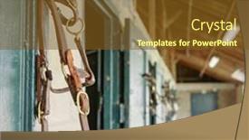  Presentation with leather - PPT theme having leather-briddle-or-horse-halter background and a tawny brown colored foreground