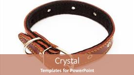  Presentation with leather year book - Audience pleasing theme consisting of leather-dog-collar backdrop and a coral colored foreground