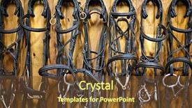  Presentation with bits - PPT theme featuring leather horse bridles and bits background and a tawny brown colored foreground