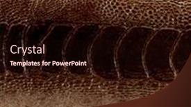  Presentation with design - PPT layouts enhanced with leather-texture-closeup-for-background background and a wine colored foreground