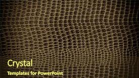  Presentation with leather - PPT theme having leather-texture-snake-crocodile background and a tawny brown colored foreground
