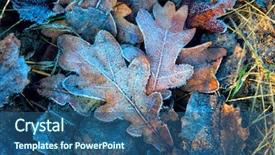  Presentation with autumn - PPT theme consisting of oak leaves - nice autumn frosted leafs background and a ocean colored foreground