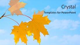  Presentation with wooden cross against the sky - Presentation theme featuring leaves against the cloudy sky background and a  colored foreground