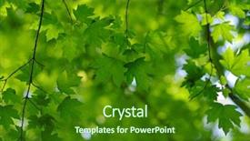  Presentation with green building materials - Cool new slides with leaves and blurred background build backdrop and a  colored foreground