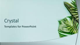  Presentation with tropical flowers - Presentation enhanced with trendy pastel palm trees - tropical leaves and flowers background and a sky blue colored foreground