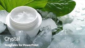  Presentation with beauty cosmetic - Audience pleasing PPT theme consisting of leaves and pieces of ice backdrop and a gray colored foreground