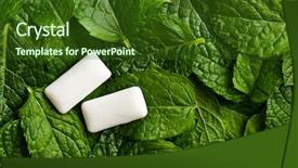  Presentation with chewing gum - Beautiful PPT layouts featuring leaves and the chewing gum backdrop and a tawny brown colored foreground