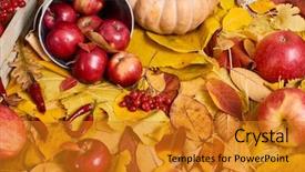  Presentation with fall food - Colorful slides enhanced with leaves apples pumpkin fall season backdrop and a gold colored foreground