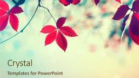  Presentation with beautiful nature - Beautiful PPT theme featuring leaves background beautiful fall nature backdrop and a cream colored foreground