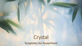  Presentation with green leaves - Slides featuring leaves behind frosted glass background and a sky blue colored foreground