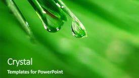  Presentation with water drop - Cool new PPT theme with leaves clean - big water drop on grass backdrop and a  colored foreground