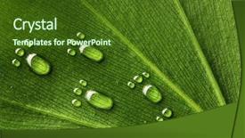  Presentation with footprint - Slide deck featuring leaves clean nature - beautiful water footprint drops background and a tawny brown colored foreground