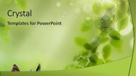  Presentation with green nature - Colorful slide deck enhanced with girl with towel on her head is smiling surrounded by various cosmetics in bathroom backdrop and a light gray colored foreground