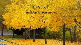  Presentation with yellow leaves of ginkgo biloba - Amazing theme having leaves during the beautiful autum backdrop and a gold colored foreground