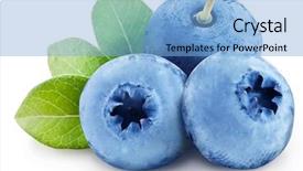  Presentation with blueberries - Slide deck enhanced with technology and internet concept - businessman background and a wine colored foreground