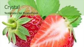  Presentation with clipping - Slide deck featuring leaves file contains clipping path background and a seafoam green colored foreground