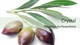  Presentation with leaves - Cool new slide deck with leaves file contains clipping path backdrop and a mint green colored foreground