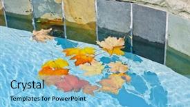  Presentation with maintenance - Beautiful presentation theme featuring leaves floating in swimming pool backdrop and a light blue colored foreground