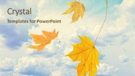  Presentation with autumn leaves - Audience pleasing PPT theme consisting of blowing leaf - beautiful autumn leaves flying backdrop and a soft green colored foreground