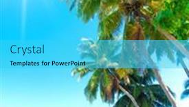  Presentation with jungle - Audience pleasing PPT theme consisting of leaves-garden-jungle backdrop and a cyan colored foreground