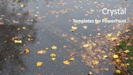  Presentation with rain water falling - Slides having leaves in rain water puddle background and a  colored foreground